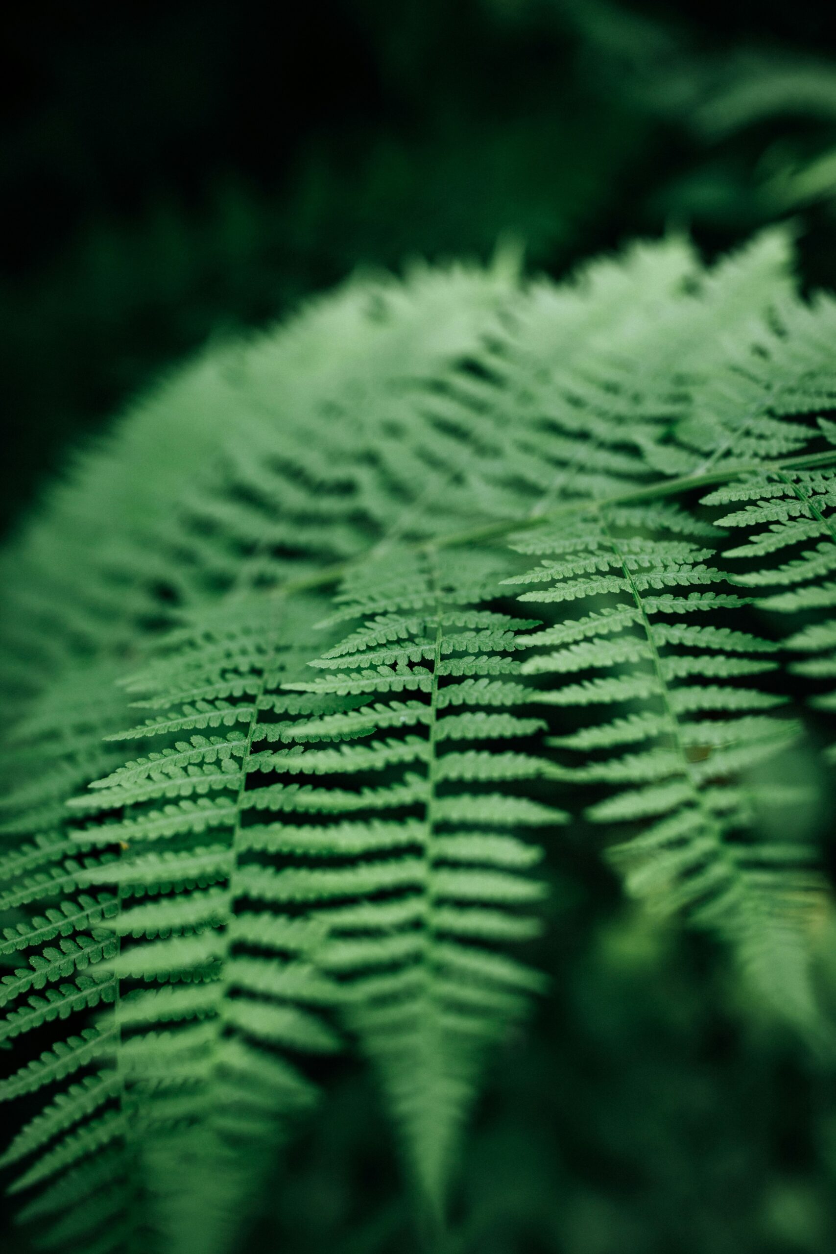 Hello World Featured Image